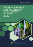 Distrik Salkma Dalam Angka 2022